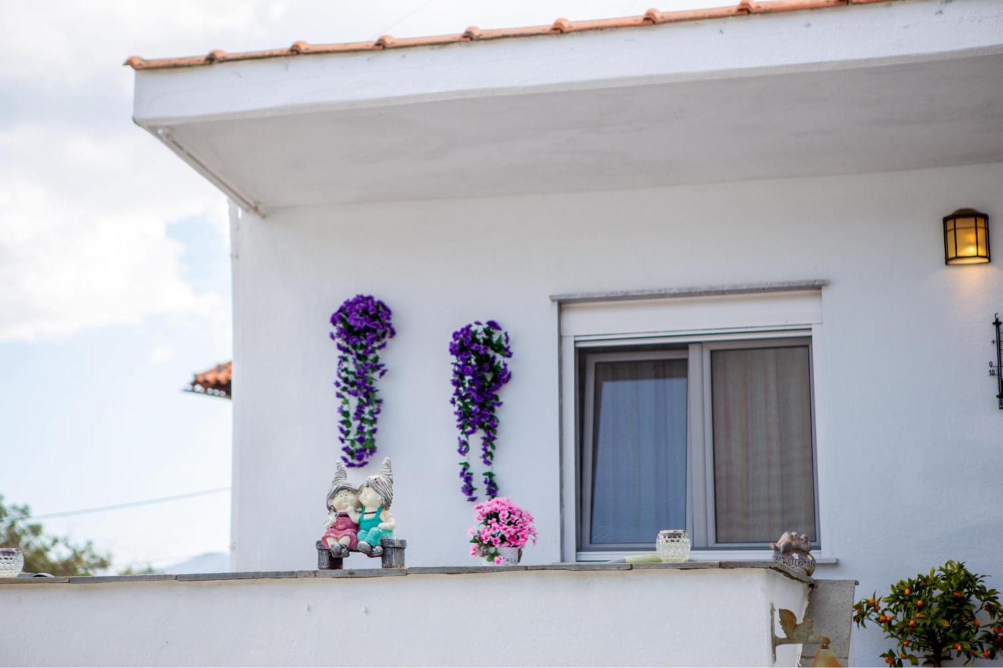 Titika House Guest House Vrasná Екстериор снимка